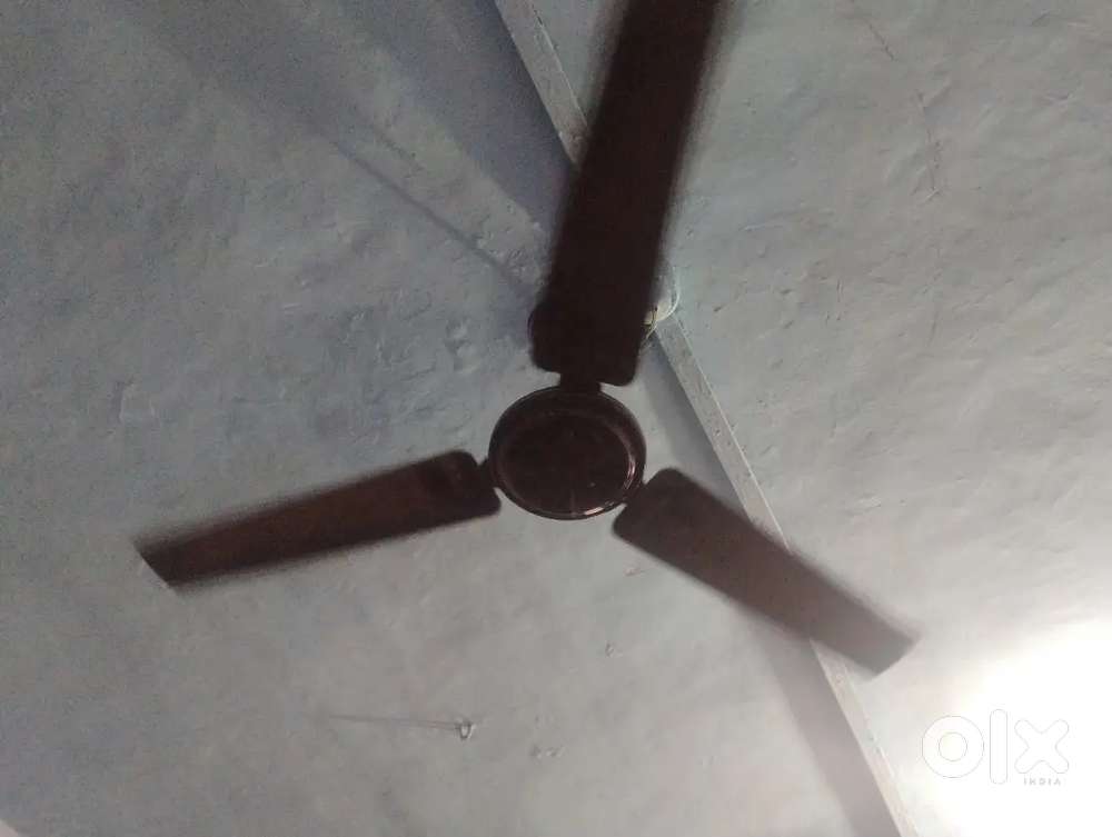 Crompton fan only 3 month used with waranty card