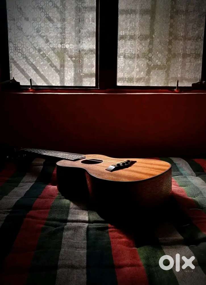 Best Ukulele with Best Price !