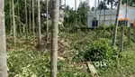 Plot near Kalyani Aiims Barajaguli