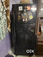 Samsang  frizz
