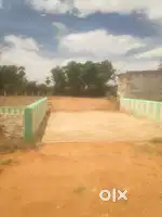 Best investment site