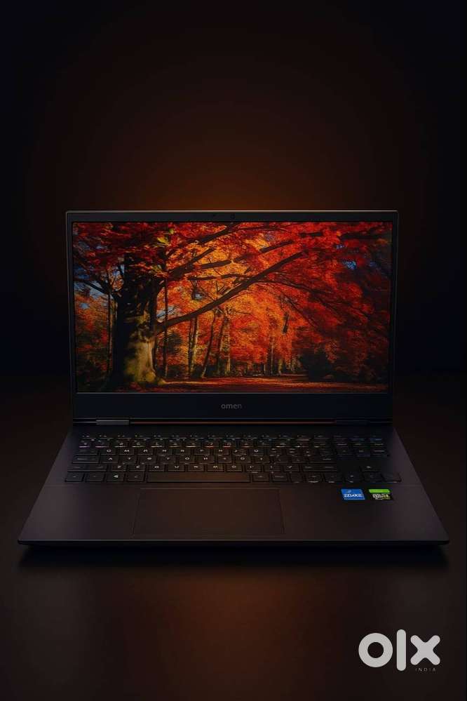 HP OMEN GAMING I7 11th
