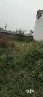 104 gaj plot purab facing shivdham colony