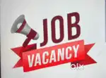 Needs girls and boys for marketting and office work