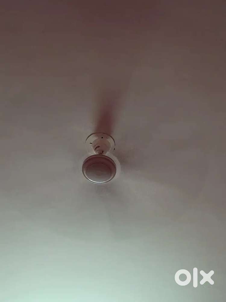 Ceiling fan