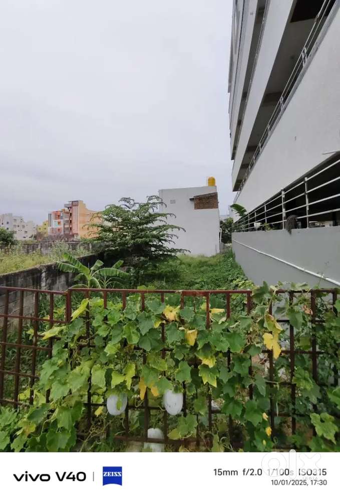 TUDA Approved Prime plot