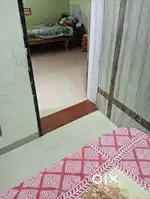 2bh house available for family and bachelor