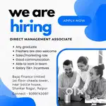 Sales executive