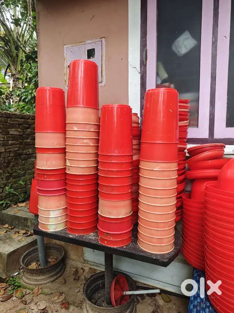 POULTRY FARM ESSENTIAL