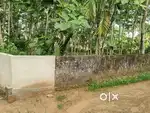 35 CENT LAND FOR SALE AT KANINAD