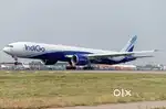 Urgent Requirement for ground staff , cabin crew male and female