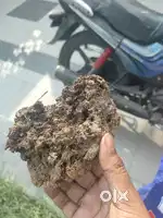 Fresh organic cow dung for puja and agriculture purposes