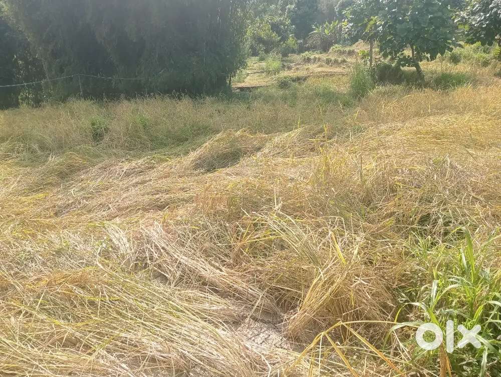 Selling land kalimpong