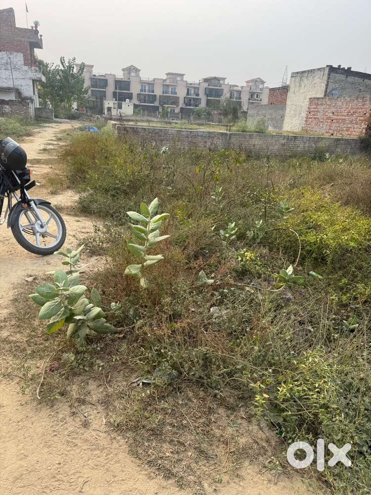 Near bye signature global