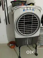 Cooler 2 year old
