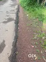 10 cent paramb edachery - vellachal