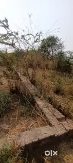 Plot selling