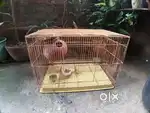 3 Bird Cages