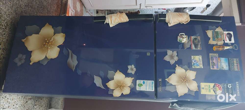 SAMSUNG DOUBLE DOOR 3 STAR FROST FREE FLORAL PRINT FRIDGE @ ₹10000*