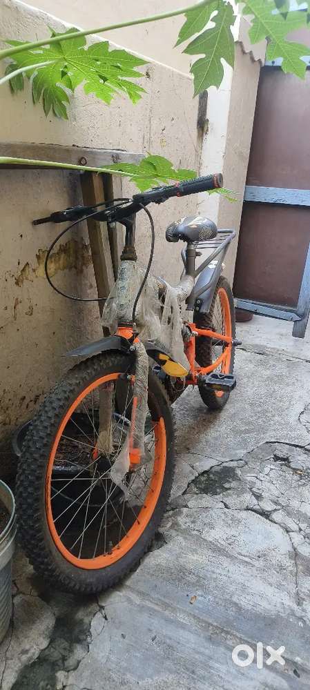 Orange and black