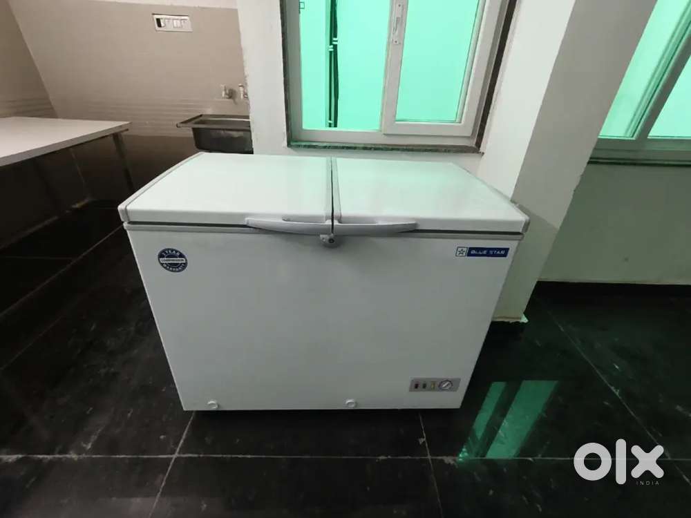 Blue Star Chest Freezer 300L
