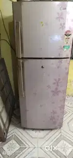 Lg duble door fridge