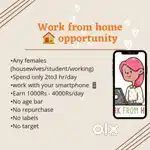 Student / housewife ke liye perfect work from home