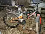 Hawk cycle comfortable