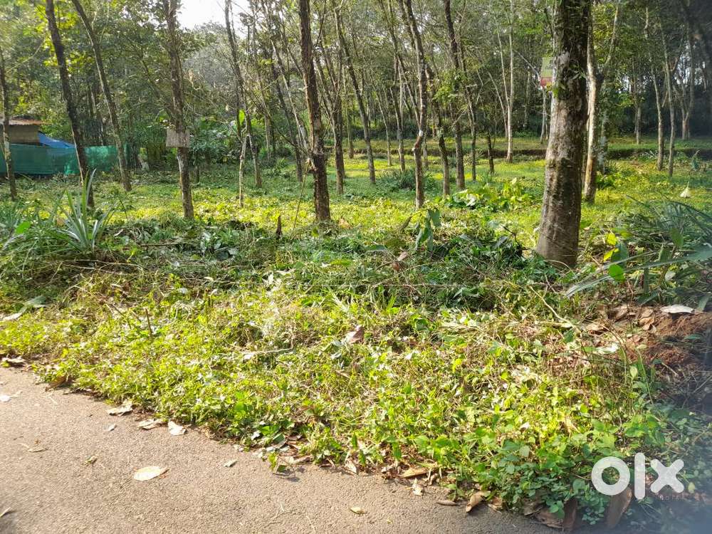 Plot for sale near Vedagiri church