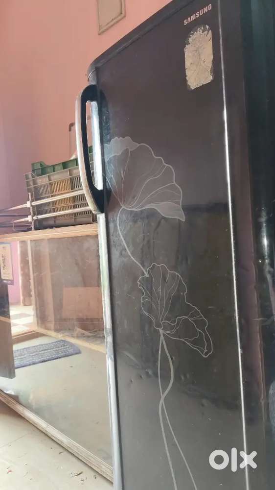 Old Fridge