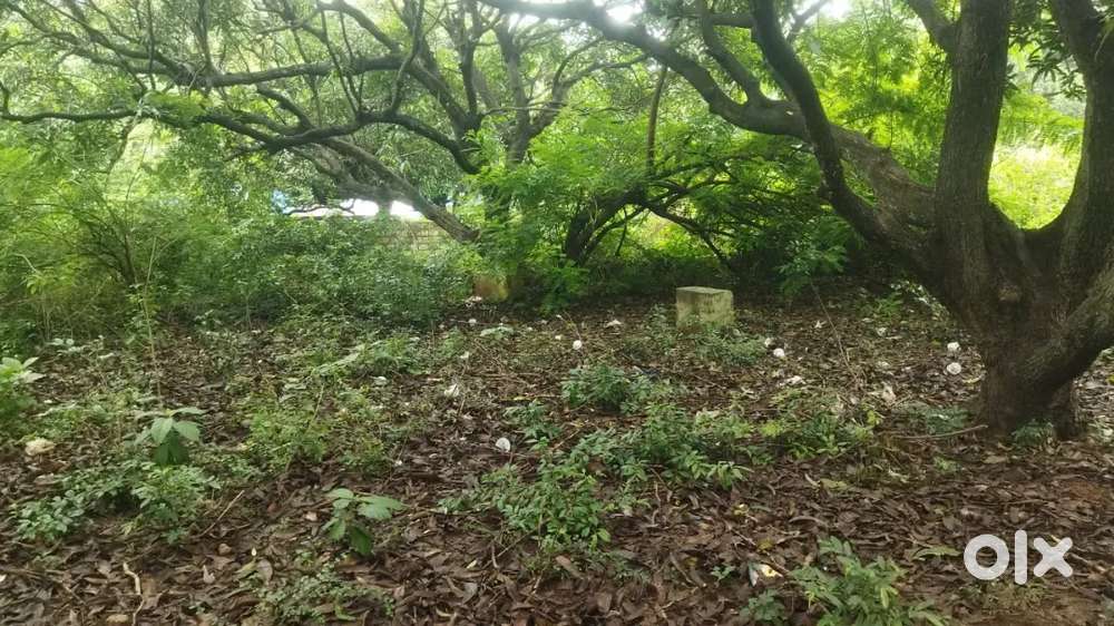 Vuda approved plot for sale , Madhurawada