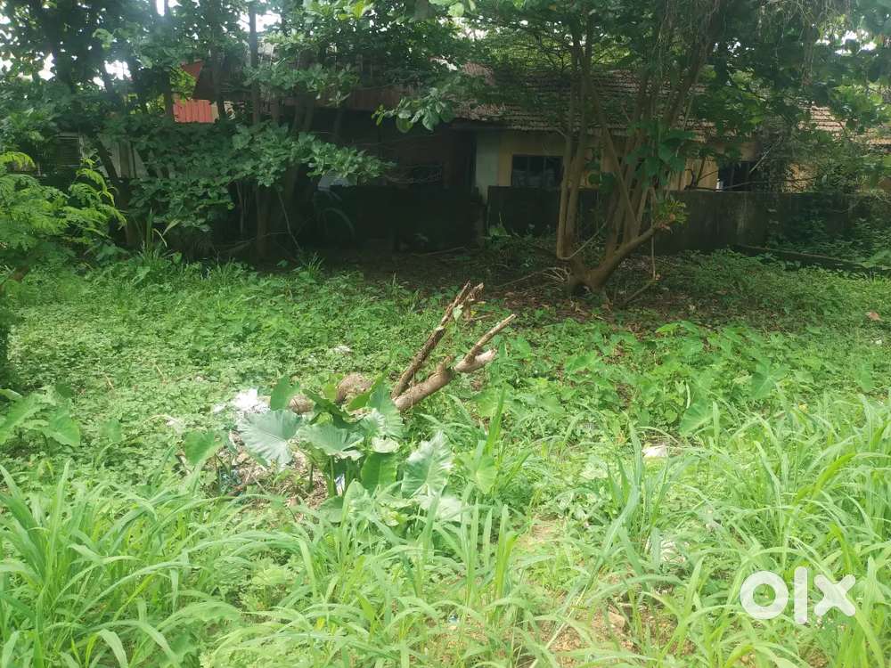 5.5 CENTS OF HOUSE PLOT SALE IN THYKOODAM, VYTTILA