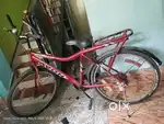 Avon Sunami cycle