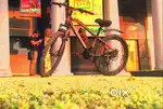 Mountain bike