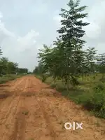 Open plots for sale at Bhongiri