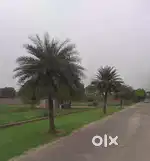200 SQ YD PLOT PARVELLA SOUTH CITY LUDHIANA PUDA APPROVED
