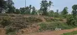 House plot for sale,77 cent