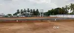 newly developing PLOT