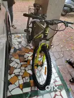 Frog Cycle Neon yellow colour