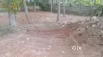 Plot for sale 6cent 100 mtr kariyam main road