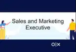 MARKETING EXECUTIVE