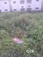 property men road Chakrata highway