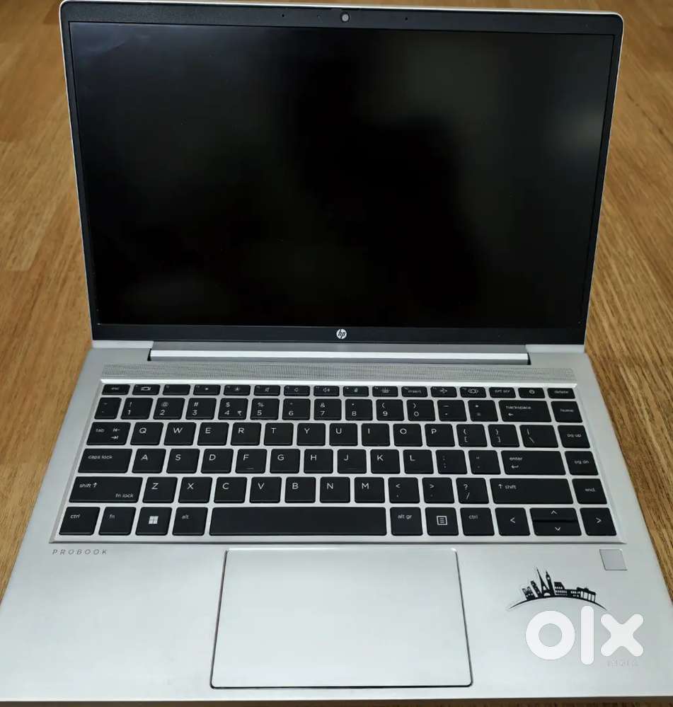 HP ProBook 445 G8 (Laptop)