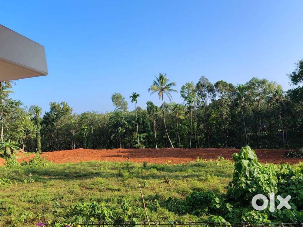 33 & 23 Cents Plain land sell Kozhippilly klm