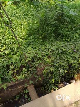 9 CENT LAND FOR SALE VANDIPETTA CALICUT