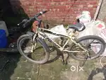 Fogger cycle