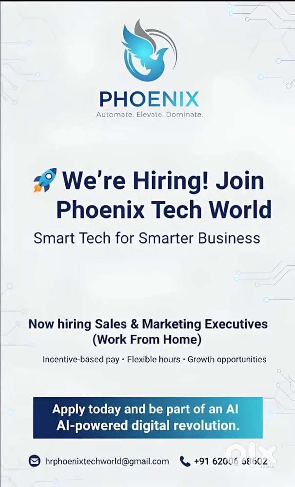 Sales and marketing executive