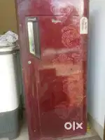 Single door wellpool fridge for sale