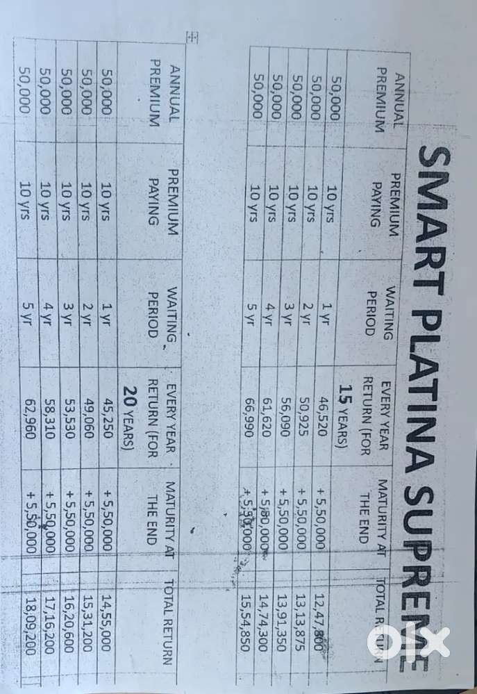 Near by selaqui jajhran low college