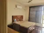 Available 3bhk fully furnished flat in Dhakoli